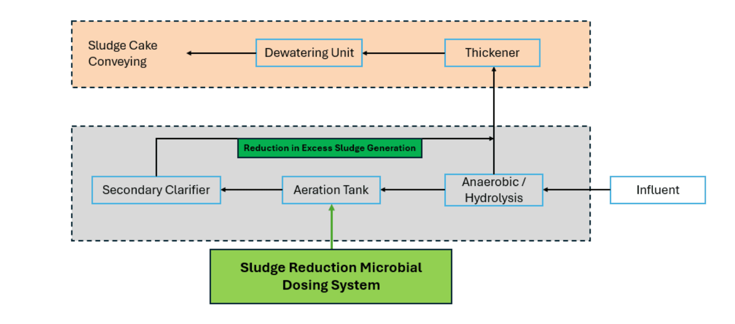 Discover Our Innovative Step-by-Step Sludge Treatment Process